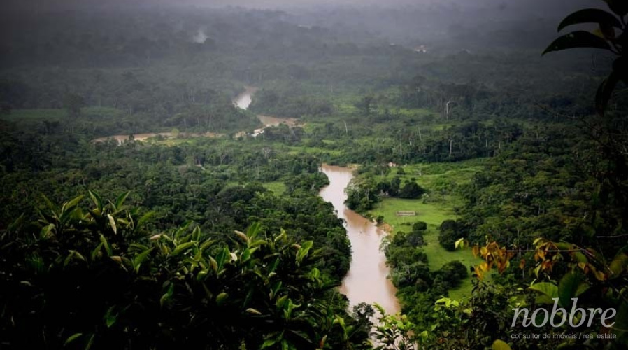 Fazenda para vender no Acre e Amazonas. Crédito carbono.